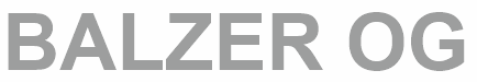Balzer OG Steinmetzmeister & Friedhofsgärtner logo